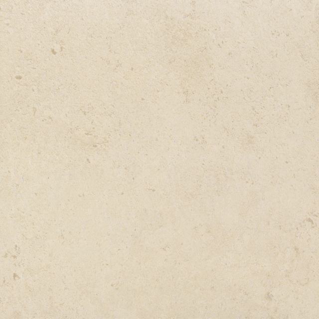287 bone