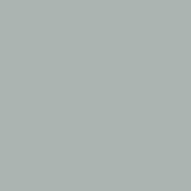J2 grigio cenere